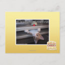Search for ram postcards I can has cheezburger