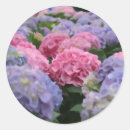 Search for field of flowers stickers Colourful