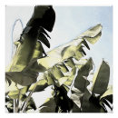 Search for exotic plants posters Jungle