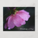 Search for thinking photography Pink
