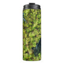 Search for fern leaf mugs Pattern