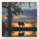 Search for beautiful horse coasters Nature