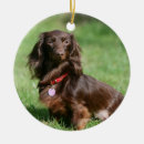 Search for miniature dachshund christmas tree decorations Sitting