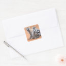 Search for ring tailed lemur gift wrap Animals