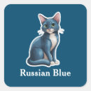 Search for russian blue cats stickers Pet