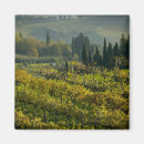 Search for viticulture magnets Farming