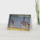 Search for captive cards Animal