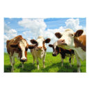 Search for cow painting posters Grass
