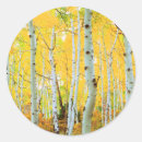 Search for aspen tree stickers Autumn