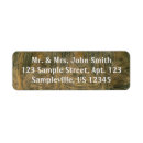 Search for tortoise return address labels Animal