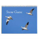 Search for geese calendars Wildlife