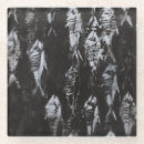 Search for fossil coasters Fish