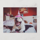 Search for this image postcards Dogs