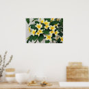 Search for frangipani flower art Tree