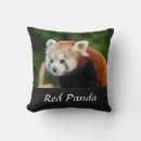 Search for red panda cushions Animal