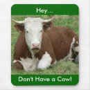 Search for heifer mousepads Animal