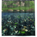 Search for river rock bathroom accessories Rocks