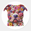 Search for pitbull lover stickers Puppy