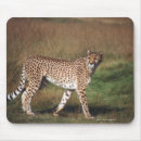 Search for wildlife mousepads Green