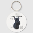 Search for giant key rings Dog