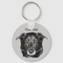 Search for black lab round key rings Animal