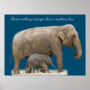 Search for asian elephant art Pachyderm