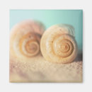 Search for beach shells magnets Waves