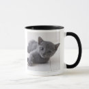 Search for russian blue mugs Nature