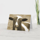 Search for lamb birthday cards Ewe