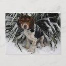 Search for beagle cards invites Snoopy