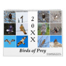 Search for birds of prey calendars Hawks
