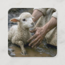 Search for jesus with lamb Shepherd