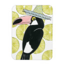 Search for taco magnets Mexico