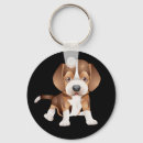Search for beagle dog key rings Black