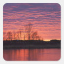 Search for loup stickers Chuck