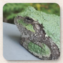 Search for frog coasters Nature