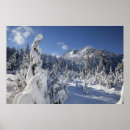 Search for idyllic posters Winter