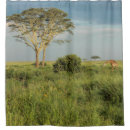 Search for giraffe shower curtains Safari