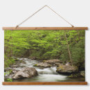 Search for smokey mountain art Smokies