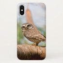 Search for spotted owl iphone cases Bird