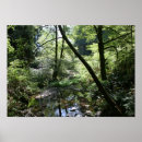 Search for green peace posters Forest