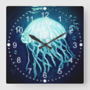Search for jellyfish clocks Beach