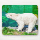 Search for polar bears mousepads Arctic