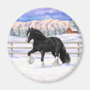 Search for draught magnets Gypsy vanner