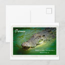 Search for territory postcards Australia