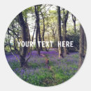 Search for bluebell stickers Forest