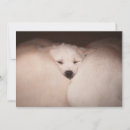 Search for golden retriever thank you cards Pet