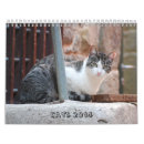 Search for mice office supplies Pets