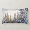 Search for danita delimont cushions Usa