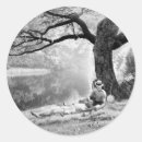 Search for toms stickers River